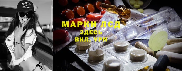спиды Аркадак