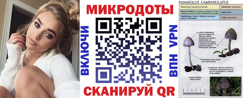 даркнет сайт  Сычёвка  Псилоцибиновые грибы Cubensis 